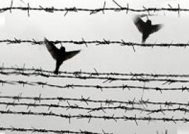 Two strange letters! Two strange letters!