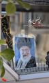 انتشار صوت از امام شهید سید علی حسینی خامنه‌ای