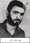 شهید حامد آئینی
